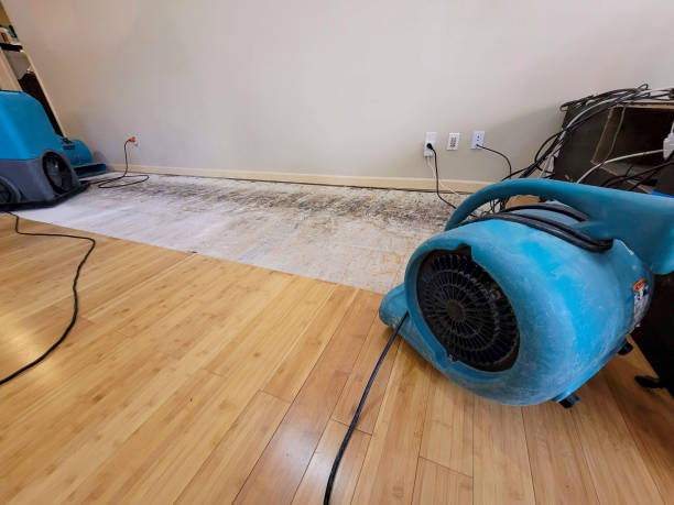 Professional Water Damage Repair technician working in Argyle, TX